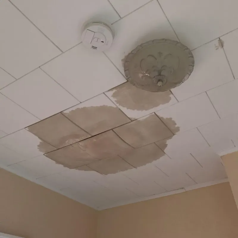 Ceiling Water Damage Repair in Faulkner County, AR