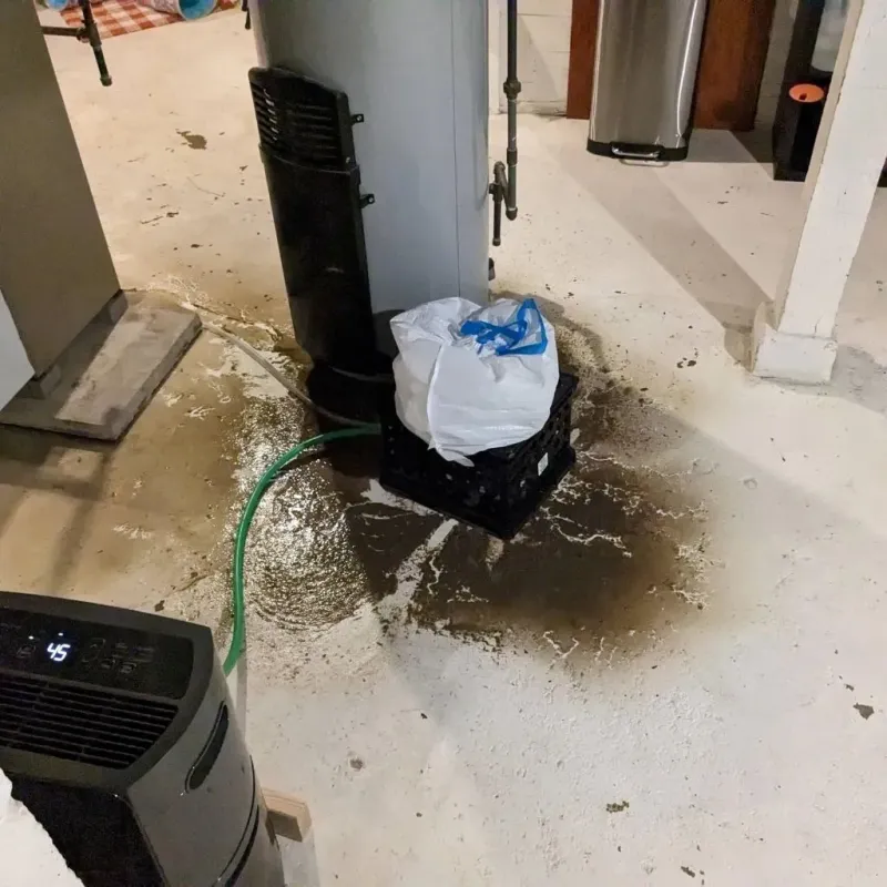 Sewage Backup Cleanup Service in Faulkner County, AR